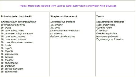 nutrition analysis of Water Kefir - nutrition minerals and bacteria in Water kefir - Why is kefir good for you?