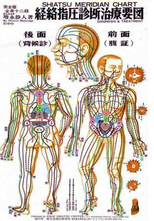 Shiatsu meridian chart showing acupressure meridian lines and Shiatsu points